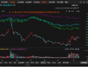 塞力医疗因涉嫌信息披露违规被立案