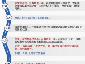 极越“非正常死亡”启示录：没有共识的牵手