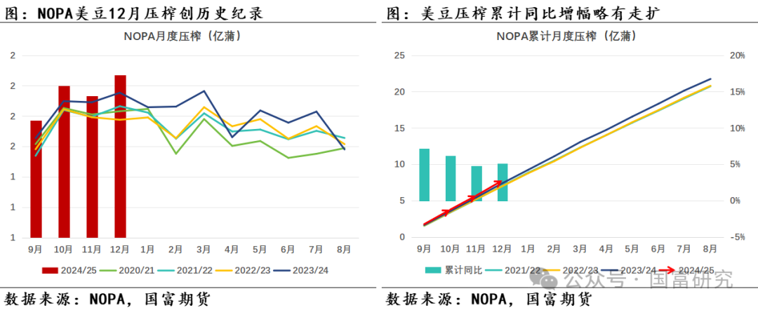 【USDA】1月报告：美豆单产下调超预期，南美大豆丰产压制美豆价格上行